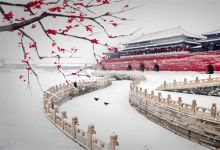 【113款】冬天雪景风景视频素材