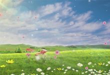 【96款】草原风景视频素材