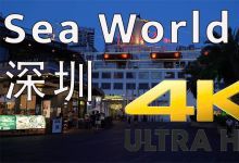 【280款】广州城市地标建筑夜景风景视频素材