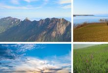 【230款】高山流水清新花草旅途风光绽放春天植物鲜花风景视频素材