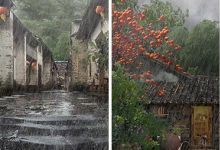 【520款】下雨雪景小清新自然治愈系美景风景视频素材